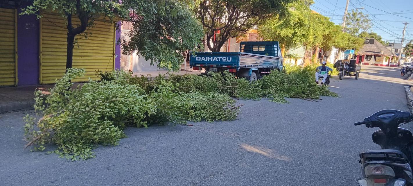 La Alcaldía del municipio de Luperón, encabezada por su alcalde Israel Brito, realizó una jornada de poda de árboles en distintos puntos del municipio